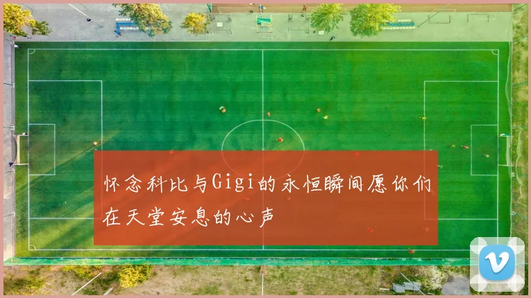 怀念科比与Gigi的永恒瞬间愿你们在天堂安息的心声